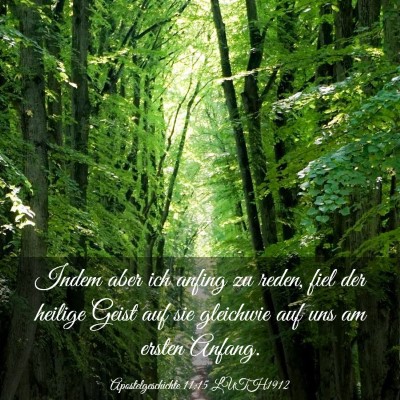Picture 03 - Apostelgeschichte 11:15 LUTH1912 - Indem aber ich anfing zu reden, fiel der heilige - Bible Verse Picture
