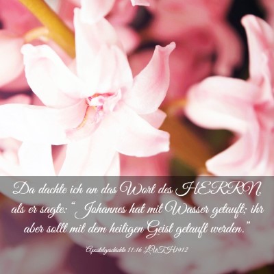 Picture 03 - Apostelgeschichte 11:16 LUTH1912 - Da dachte ich an das Wort des HERRN, als er - Bible Verse Picture