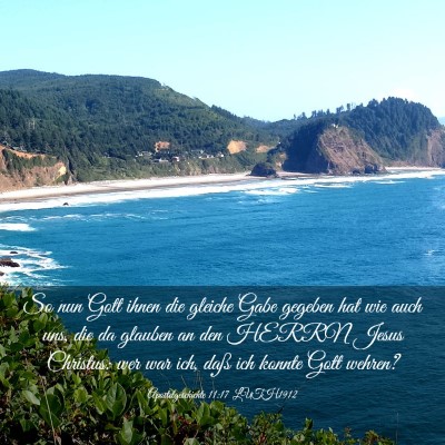 Picture 03 - Apostelgeschichte 11:17 LUTH1912 - So nun Gott ihnen die gleiche Gabe gegeben hat - Bible Verse Picture