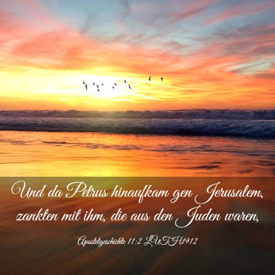 Picture 03 - Apostelgeschichte 11:2 LUTH1912 - Und da Petrus hinaufkam gen Jerusalem, zankten - Bible Verse Picture