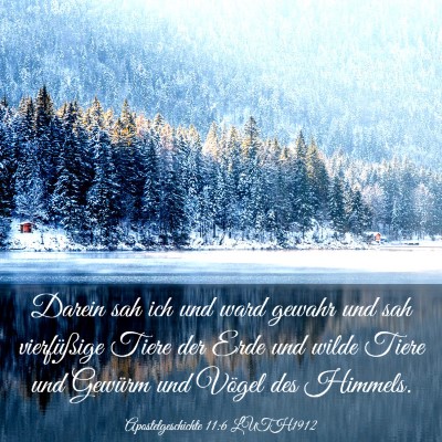 Picture 03 - Apostelgeschichte 11:6 LUTH1912 - Darein sah ich und ward gewahr und sah - Bible Verse Picture