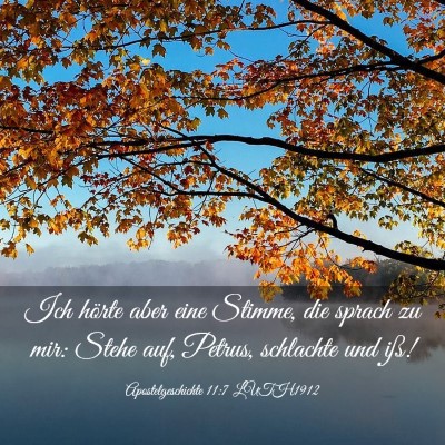 Picture 03 - Apostelgeschichte 11:7 LUTH1912 - Ich hörte aber eine Stimme, die sprach zu mir: - Bible Verse Picture