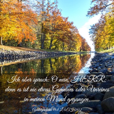 Picture 03 - Apostelgeschichte 11:8 LUTH1912 - Ich aber sprach: O nein, HERR; denn es ist nie - Bible Verse Picture