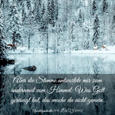 Picture 03 - Apostelgeschichte 11:9 LUTH1912 - Aber die Stimme antwortete mir zum andernmal vom - Bible Verse Picture