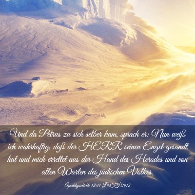 Picture 03 - Apostelgeschichte 12:11 LUTH1912 - Und da Petrus zu sich selber kam, sprach er: Nun - Bible Verse Picture