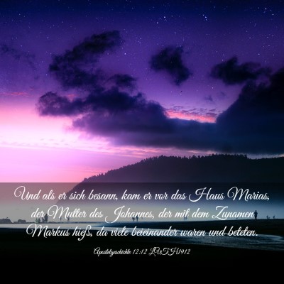 Picture 03 - Apostelgeschichte 12:12 LUTH1912 - Und als er sich besann, kam er vor das Haus - Bible Verse Picture