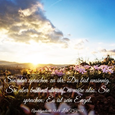 Picture 03 - Apostelgeschichte 12:15 LUTH1912 - Sie aber sprachen zu ihr: Du bist unsinnig. Sie - Bible Verse Picture