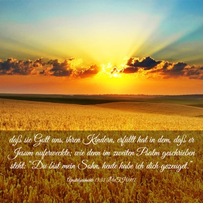 Picture 03 - Apostelgeschichte 13:33 LUTH1912 - daß sie Gott uns, ihren Kindern, erfüllt hat in - Bible Verse Picture