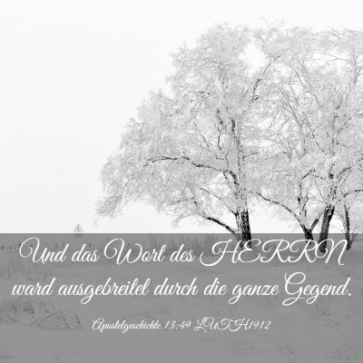 Picture 03 - Apostelgeschichte 13:49 LUTH1912 - Und das Wort des HERRN ward ausgebreitet durch - Bible Verse Picture