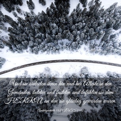 Picture 03 - Apostelgeschichte 14:23 LUTH1912 - Und sie ordneten ihnen hin und her Älteste in - Bible Verse Picture