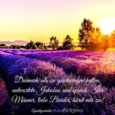 Picture 03 - Apostelgeschichte 15:13 LUTH1912 - Darnach, als sie geschwiegen hatten, antwortete - Bible Verse Picture