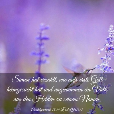Picture 03 - Apostelgeschichte 15:14 LUTH1912 - Simon hat erzählt, wie aufs erste Gott - Bible Verse Picture