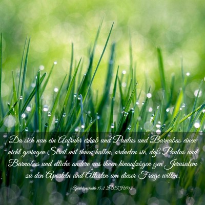 Picture 03 - Apostelgeschichte 15:2 LUTH1912 - Da sich nun ein Aufruhr erhob und Paulus und - Bible Verse Picture