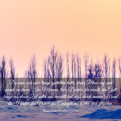 Picture 03 - Apostelgeschichte 15:7 LUTH1912 - Da man sich aber lange gestritten hatte, stand - Bible Verse Picture