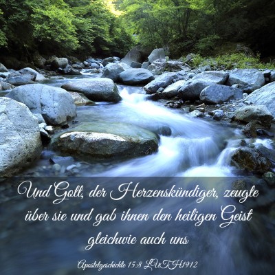 Picture 03 - Apostelgeschichte 15:8 LUTH1912 - Und Gott, der Herzenskündiger, zeugte über sie - Bible Verse Picture
