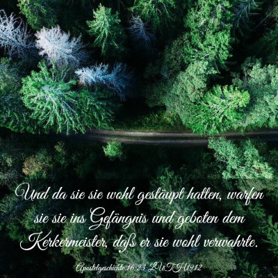 Picture 03 - Apostelgeschichte 16:23 LUTH1912 - Und da sie sie wohl gestäupt hatten, warfen sie - Bible Verse Picture