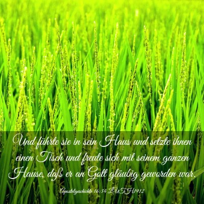 Picture 03 - Apostelgeschichte 16:34 LUTH1912 - Und führte sie in sein Haus und setzte ihnen - Bible Verse Picture