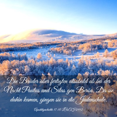 Picture 03 - Apostelgeschichte 17:10 LUTH1912 - Die Brüder aber fertigten alsobald ab bei der - Bible Verse Picture