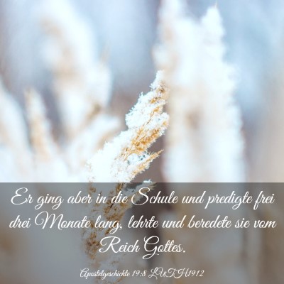 Picture 03 - Apostelgeschichte 19:8 LUTH1912 - Er ging aber in die Schule und predigte frei drei - Bible Verse Picture
