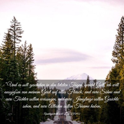 Picture 03 - Apostelgeschichte 2:17 LUTH1912 - “Und es soll geschehen in den letzten Tagen, - Bible Verse Picture