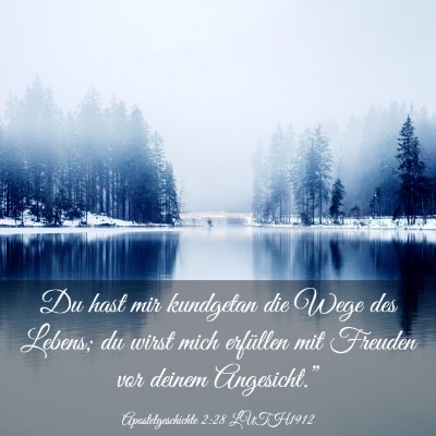 Picture 03 - Apostelgeschichte 2:28 LUTH1912 - Du hast mir kundgetan die Wege des Lebens; du - Bible Verse Picture