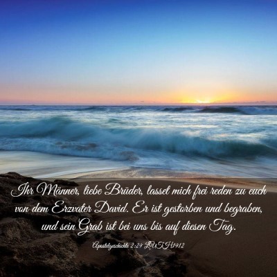 Picture 03 - Apostelgeschichte 2:29 LUTH1912 - Ihr Männer, liebe Brüder, lasset mich frei - Bible Verse Picture