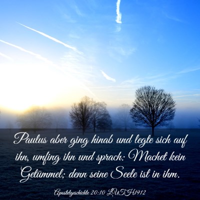 Picture 03 - Apostelgeschichte 20:10 LUTH1912 - Paulus aber ging hinab und legte sich auf ihn, - Bible Verse Picture