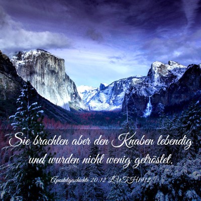 Picture 03 - Apostelgeschichte 20:12 LUTH1912 - Sie brachten aber den Knaben lebendig und wurden - Bible Verse Picture