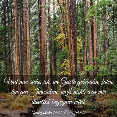 Picture 03 - Apostelgeschichte 20:22 LUTH1912 - Und nun siehe, ich, im Geiste gebunden, fahre hin - Bible Verse Picture