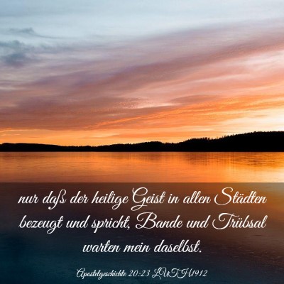 Picture 03 - Apostelgeschichte 20:23 LUTH1912 - nur daß der heilige Geist in allen Städten - Bible Verse Picture