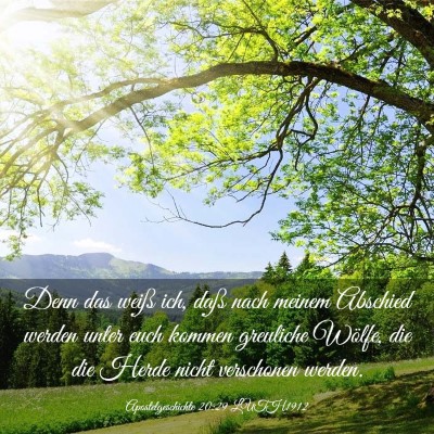 Picture 03 - Apostelgeschichte 20:29 LUTH1912 - Denn das weiß ich, daß nach meinem Abschied - Bible Verse Picture