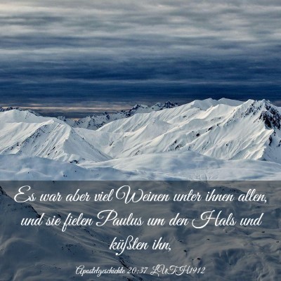 Picture 03 - Apostelgeschichte 20:37 LUTH1912 - Es war aber viel Weinen unter ihnen allen, und - Bible Verse Picture