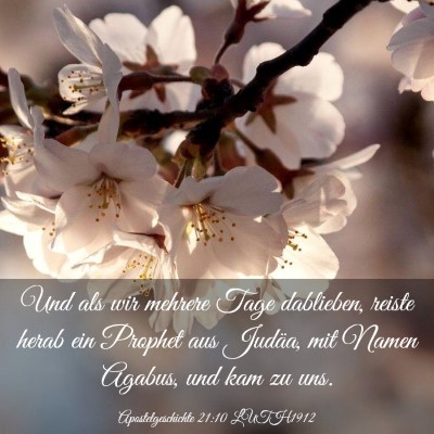Picture 03 - Apostelgeschichte 21:10 LUTH1912 - Und als wir mehrere Tage dablieben, reiste herab - Bible Verse Picture