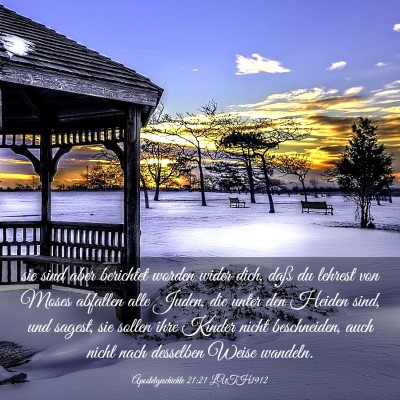 Picture 03 - Apostelgeschichte 21:21 LUTH1912 - sie sind aber berichtet worden wider dich, daß - Bible Verse Picture