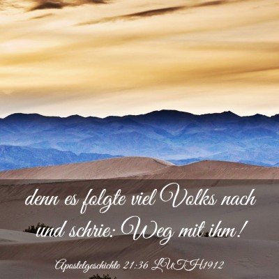Picture 03 - Apostelgeschichte 21:36 LUTH1912 - denn es folgte viel Volks nach und schrie: Weg - Bible Verse Picture