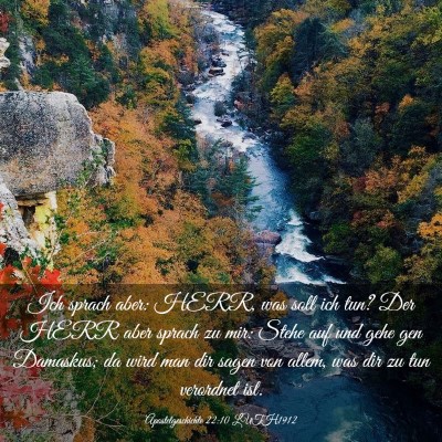 Picture 03 - Apostelgeschichte 22:10 LUTH1912 - Ich sprach aber: HERR, was soll ich tun? Der HERR - Bible Verse Picture