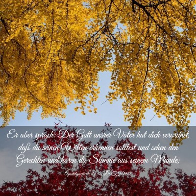 Picture 03 - Apostelgeschichte 22:14 LUTH1912 - Er aber sprach: Der Gott unsrer Väter hat dich - Bible Verse Picture