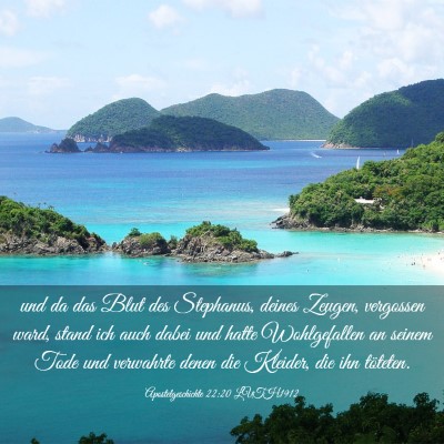 Picture 03 - Apostelgeschichte 22:20 LUTH1912 - und da das Blut des Stephanus, deines Zeugen, - Bible Verse Picture