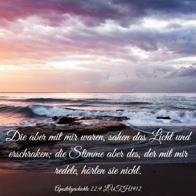 Picture 03 - Apostelgeschichte 22:9 LUTH1912 - Die aber mit mir waren, sahen das Licht und - Bible Verse Picture