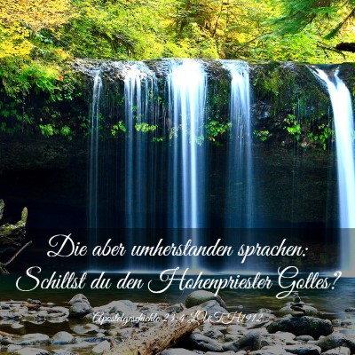Picture 03 - Apostelgeschichte 23:4 LUTH1912 - Die aber umherstanden sprachen: Schiltst du den - Bible Verse Picture