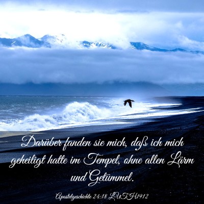 Picture 03 - Apostelgeschichte 24:18 LUTH1912 - Darüber fanden sie mich, daß ich mich geheiligt - Bible Verse Picture