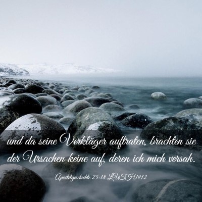 Picture 03 - Apostelgeschichte 25:18 LUTH1912 - und da seine Verkläger auftraten, brachten sie - Bible Verse Picture
