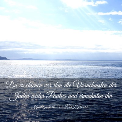 Picture 03 - Apostelgeschichte 25:2 LUTH1912 - Da erschienen vor ihm die Vornehmsten der Juden - Bible Verse Picture