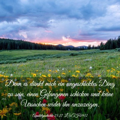 Picture 03 - Apostelgeschichte 25:27 LUTH1912 - Denn es dünkt mich ein ungeschicktes Ding zu - Bible Verse Picture