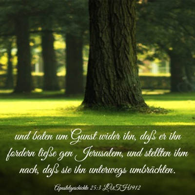 Picture 03 - Apostelgeschichte 25:3 LUTH1912 - und baten um Gunst wider ihn, daß er ihn fordern - Bible Verse Picture