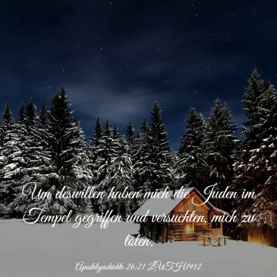 Picture 03 - Apostelgeschichte 26:21 LUTH1912 - Um deswillen haben mich die Juden im Tempel - Bible Verse Picture
