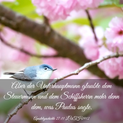 Picture 03 - Apostelgeschichte 27:11 LUTH1912 - Aber der Unterhauptmann glaubte dem Steuermann - Bible Verse Picture