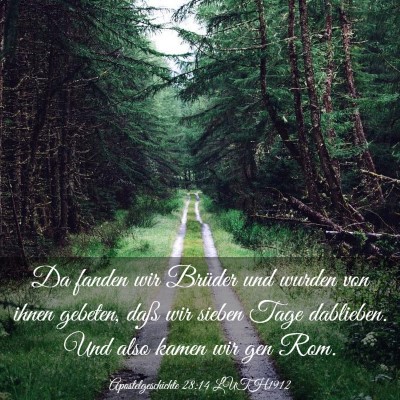 Picture 03 - Apostelgeschichte 28:14 LUTH1912 - Da fanden wir Brüder und wurden von ihnen - Bible Verse Picture