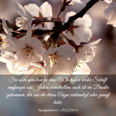 Picture 03 - Apostelgeschichte 28:21 LUTH1912 - Sie aber sprachen zu ihm: Wir haben weder Schrift - Bible Verse Picture