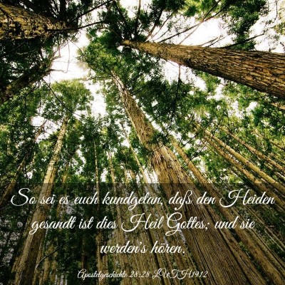 Picture 03 - Apostelgeschichte 28:28 LUTH1912 - So sei es euch kundgetan, daß den Heiden gesandt - Bible Verse Picture